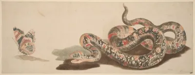 Snake and Butterfly