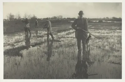 Snipe-Shooting