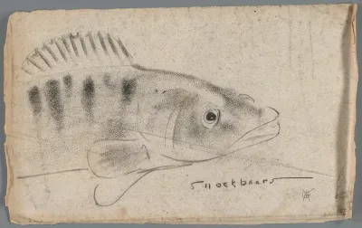 Snoekbaars