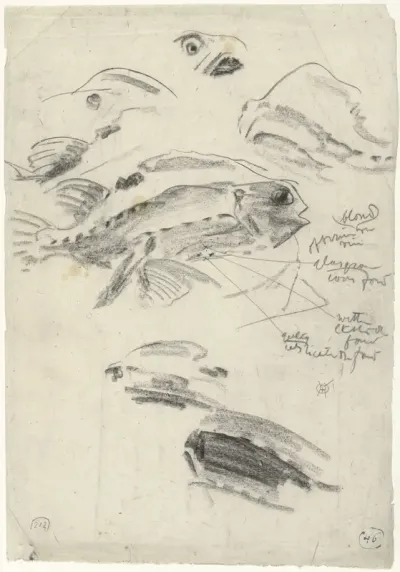 Snotdolf en detailstudies