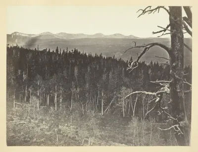 Snow and Timber Line, Medicine Bow Mountain