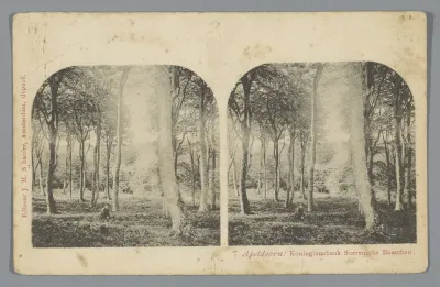 Soerense Bossen