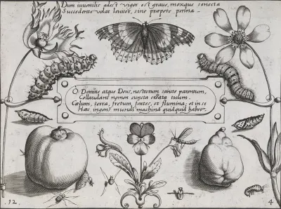 Sommerfuglelarver, sommerfugl, pære m.m.