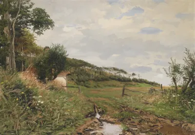 Sommerwiese