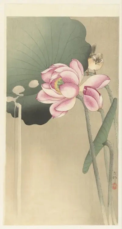Songbird and Lotus