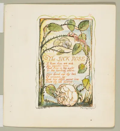 Songs of Experience: The Sick Rose