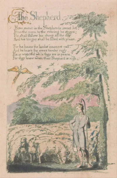 Songs of Innocence and of Experience, Plate 4, "The Shepherd" (Bentley 5)
