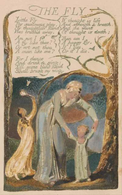 Songs of Innocence and of Experience, Plate 48, 'The Fly' (Bentley 40)