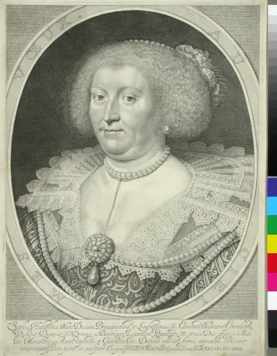 Sophie Hedvig, Nassaun kreivitär