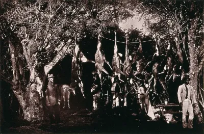 South Africa: hunters at their camp with their Easter kill