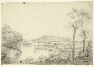 South American Landscape