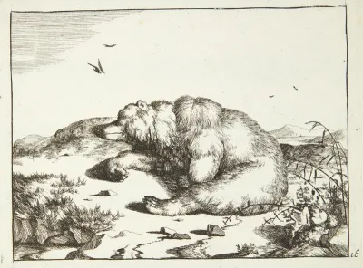 Sovende bjørn