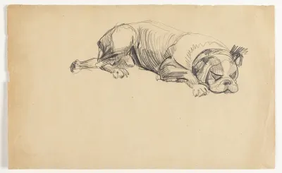 Sovende hund