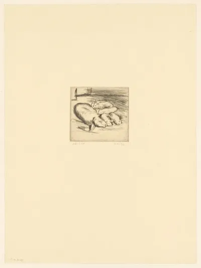 Sow and piglets