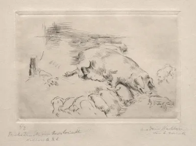 Sows and Piglets