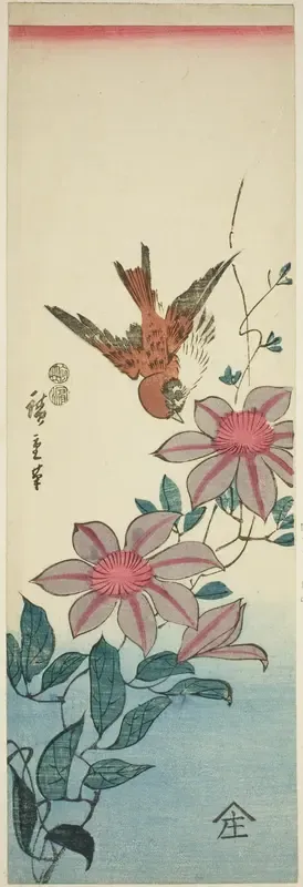 Sparrow and clematis