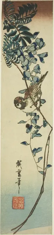 Sparrow and wisteria