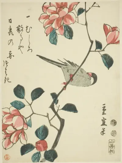 Sparrow on camellia branch