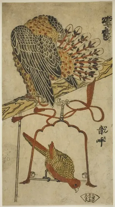 Sparrowhawk and Macaw (Konori taka, inko)