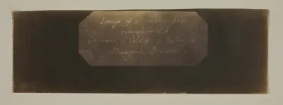 Specimen of Calotype of Talbotype, Photogenic Drawing [label]