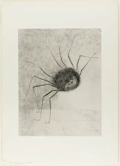 Spider