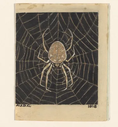 Spin in een web