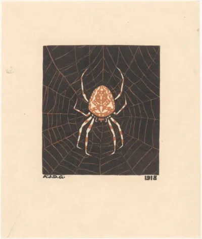 Spin in een web