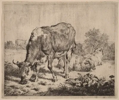 Spotted Bull and Three Sheep