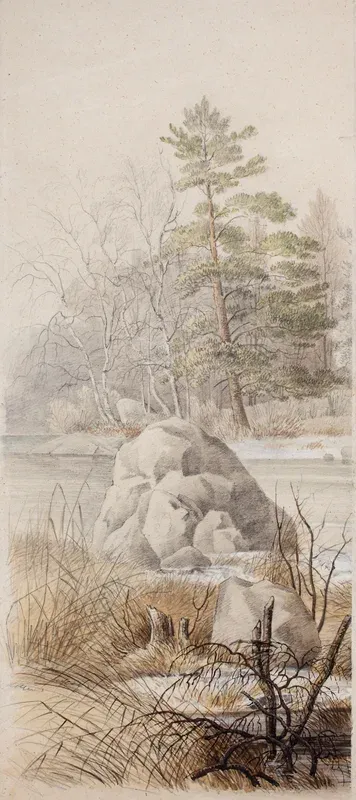Spring Landscape