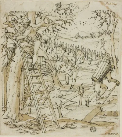 Spring (March)