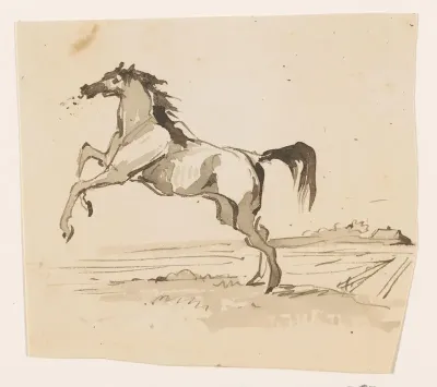 Springend paard, in het veld