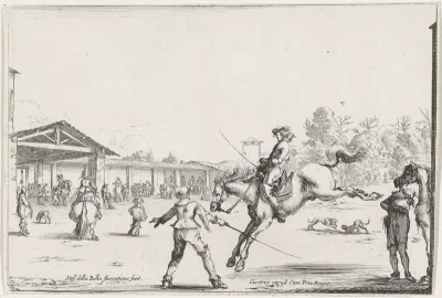 Springend paard in manege