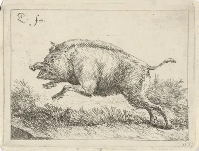Springend zwijn