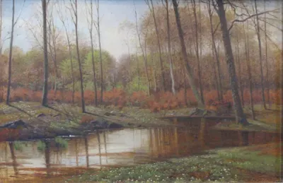 Springtime in a forest.