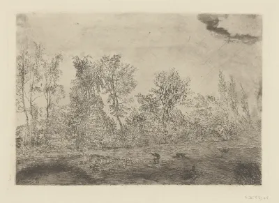 Squall at the Edge of the Wood