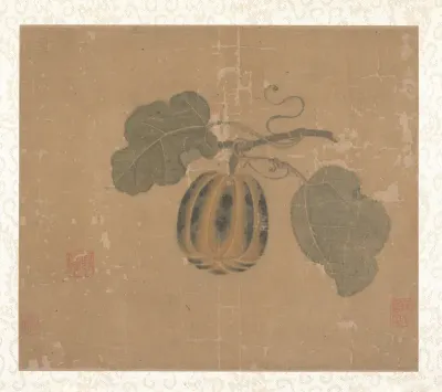 Squash