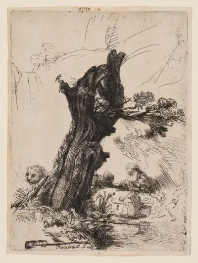 St. Jerome Beside a Pollard Willow
