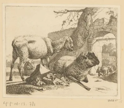 Staand en twee liggende schapen bij romeinse poort