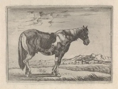 Staand paard