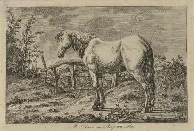 Staand paard
