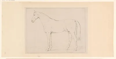 Staand paard