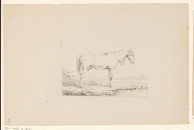 Staand paard bij een rivier