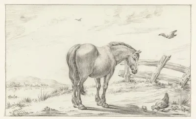 Staand paard bij kip met kuikens