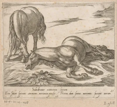 Staand paard bij liggend dood paard