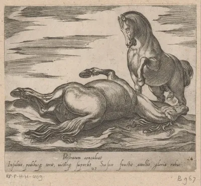 Staand paard een ander paard, dood liggend, krabbend