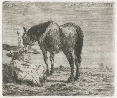 Staand paard en liggend kalf bij een paal