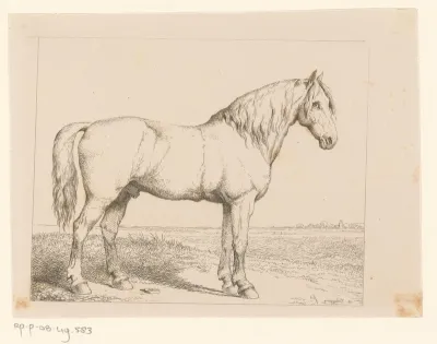 Staand paard in de wei