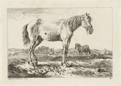 Staand paard in een landschap