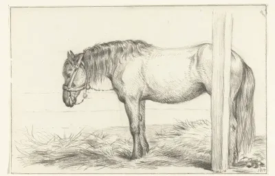 Staand paard in stal, naar links