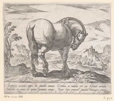 Staand paard met hoofd naar beneden, naar rechts gewend